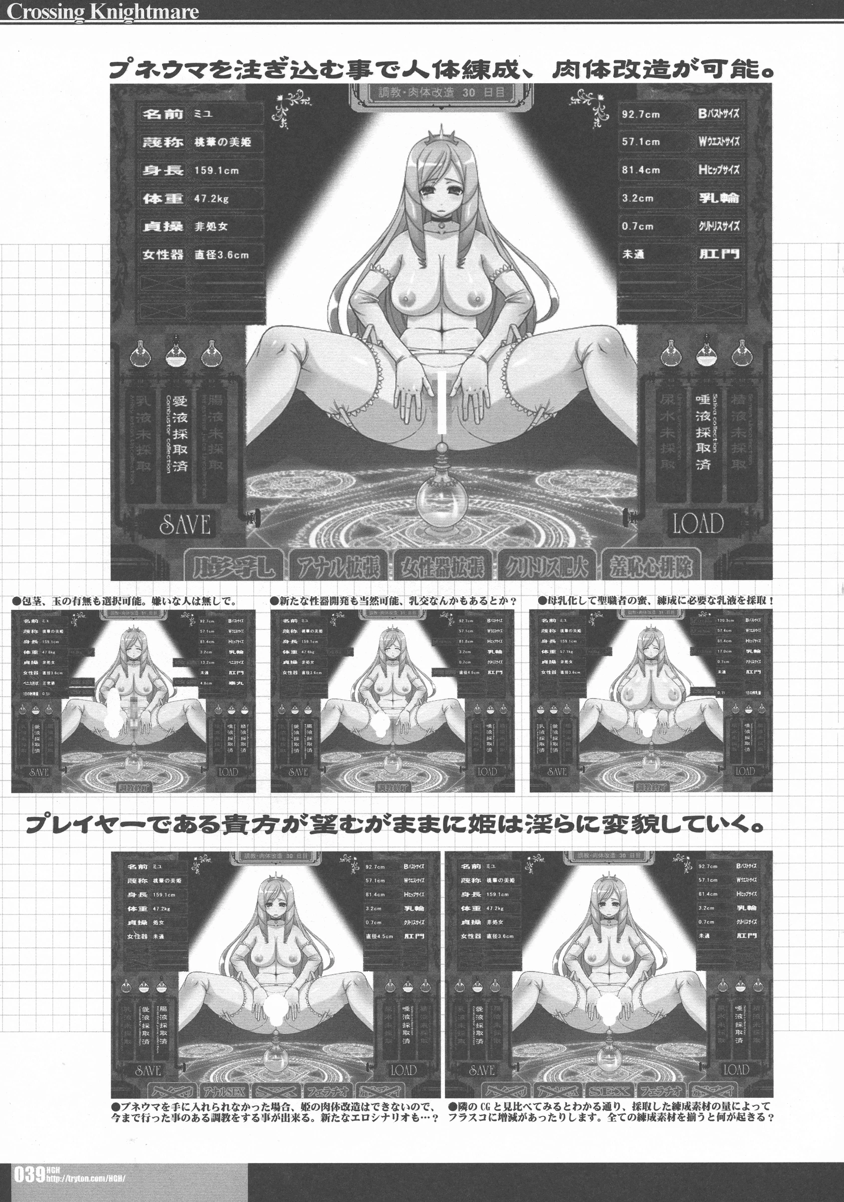 HGH, KI-SofTWarE : HG Chagawa, Kiken Shisou | CrossinGKnighTMarE IdeaNOTE SP2