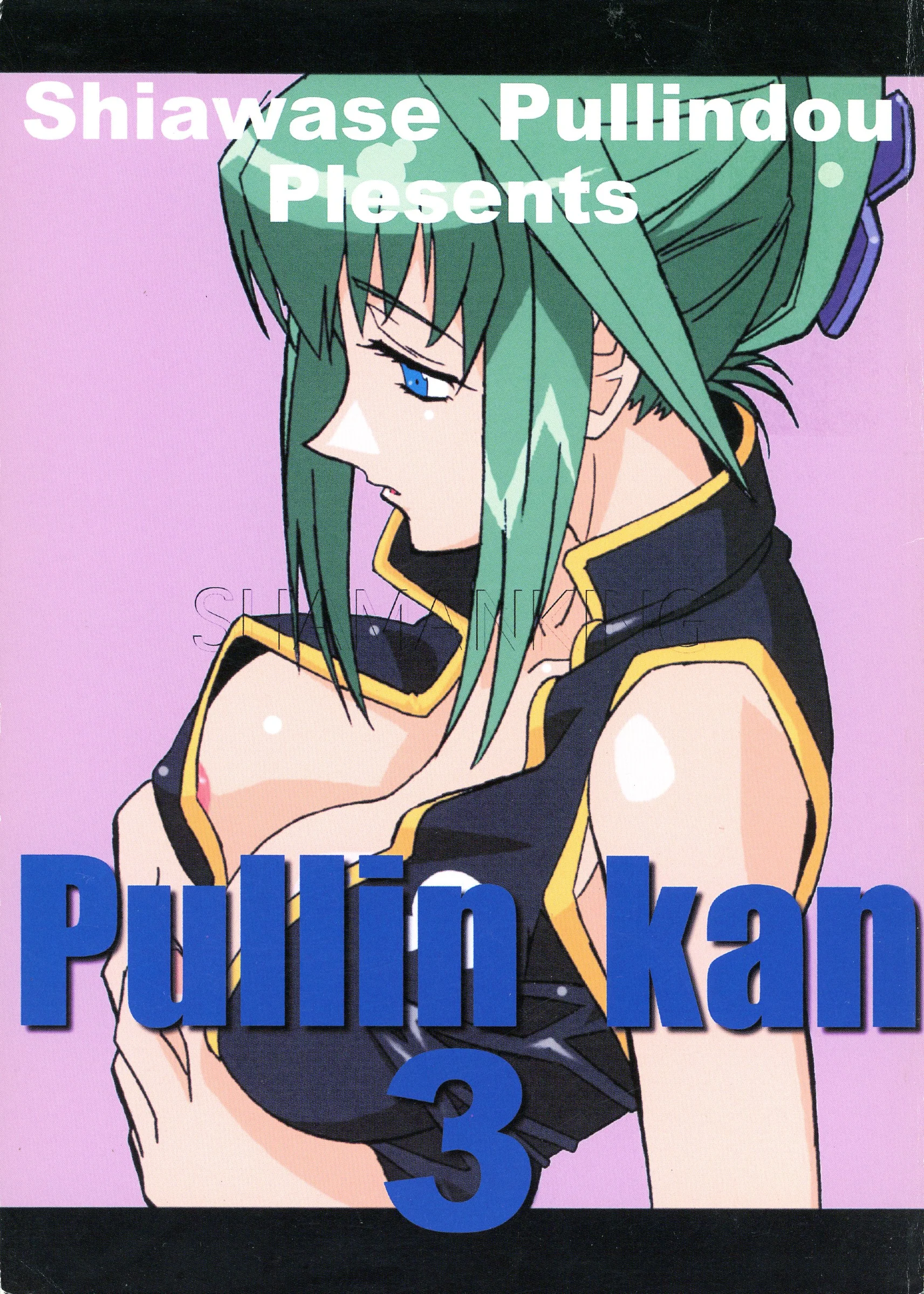 Siawase-Pullin Dou : Arai Kei, EXP, Nin 6 | Pullin-kan 3 (Shaman King)